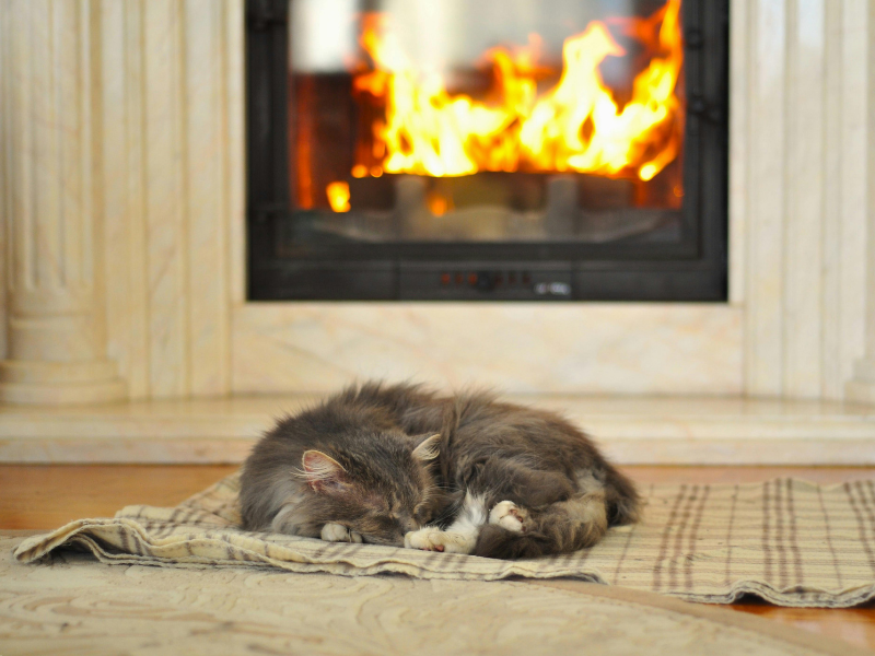The Ultimate Propane Stove Buyer's Guide: Everything You Need to Know Before You Buy